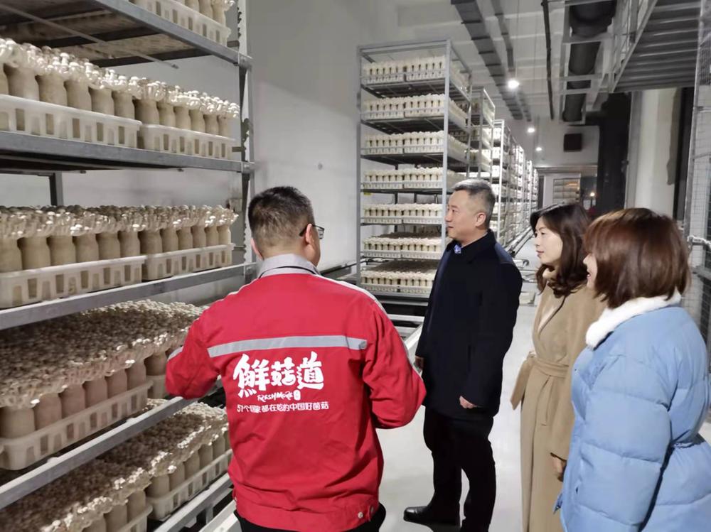 青白江区领导慰问优秀科技工作者代表