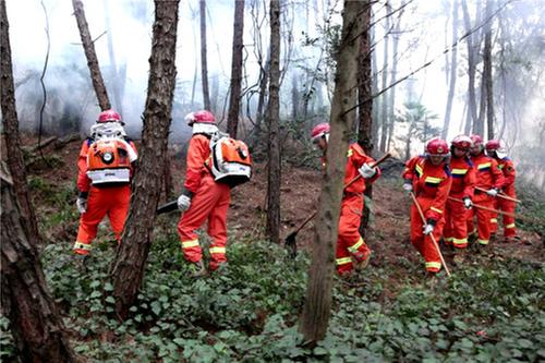 东坡区开展扑救实战演练  确保森林防火安全