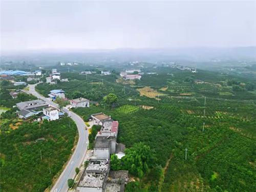 彭山区：夯实民生之基 绘就幸福底色