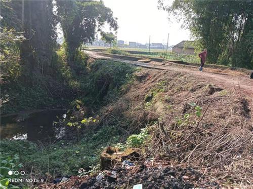 为了来年稻花香