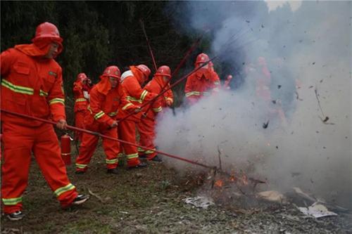 贵平镇开展森林防灭火暨消防应急培训综合演练