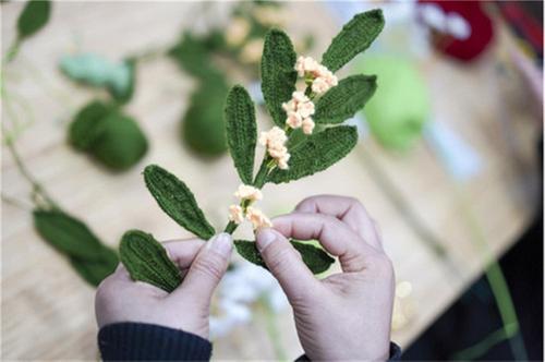 冬奥会上，那片绿叶背后的故事