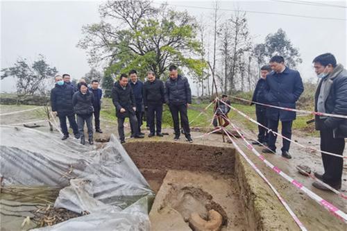广安市副市长肖伟华赴前锋区调研大良城遗址保护工作