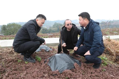 彭家乡：干部走基层  发展解难题