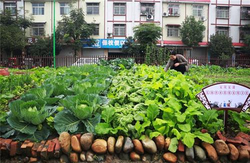 青神县：精细服务暖民心 精准治理通末梢