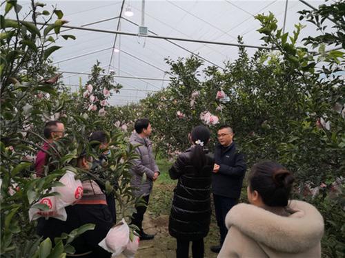 彭山区：农技送上门 “把脉开方”助振兴