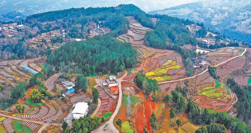 地膜“盖”出美丽乡村