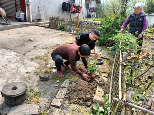 瑞峰镇创新开展人居环境整治工作