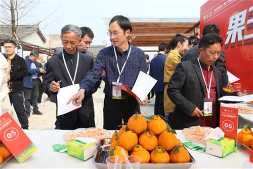 丹棱县第十届不知火“果王”诞生