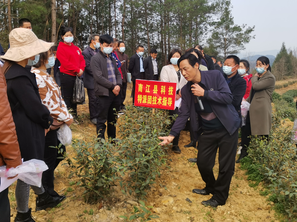 南江科技特派员深入乡村“传经送宝  ”  