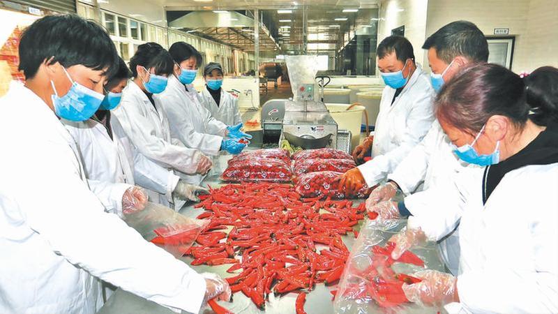 工业园里经济热