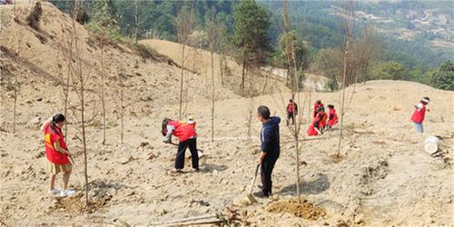 邻水县科协开展2022年春季义务植树活动