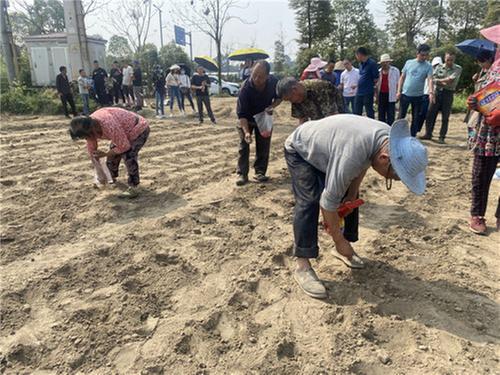 彭山区召开大豆玉米带状复合种植现场会