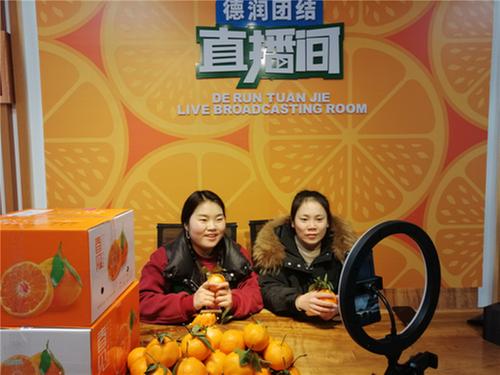 彭山区组建电商直播带货团队助力乡村振兴