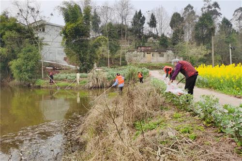 新场镇组织党员开展河道保洁主题党日活动