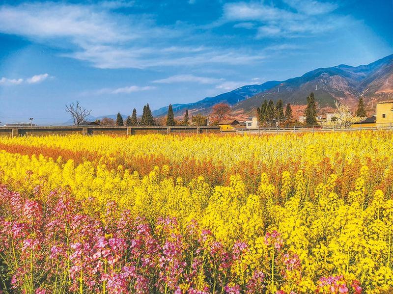 巴蜀大地绚丽多彩