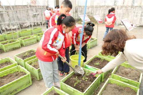 中坝小学“开心农场”春耕忙