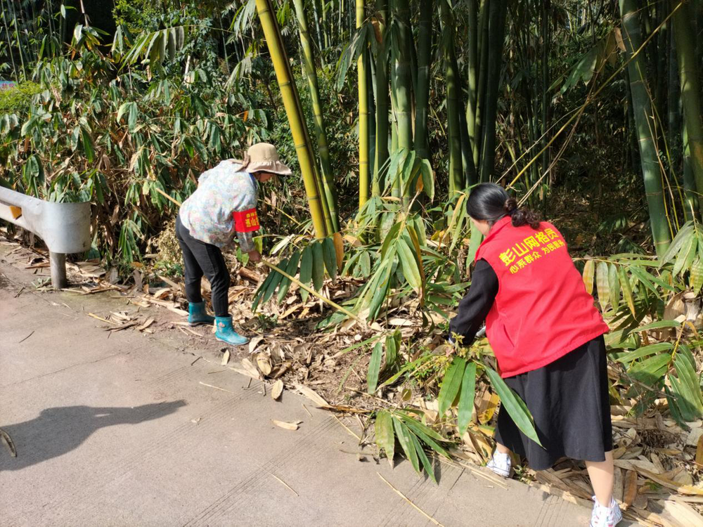 彭山区公义镇龙安村做好森林防灭火工作