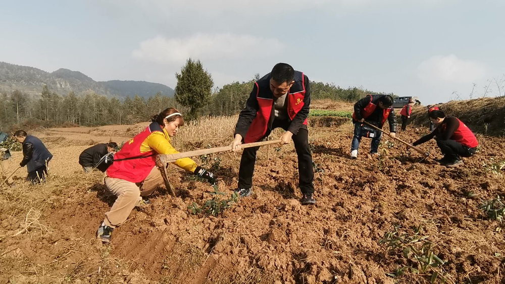 南江：联学联建  同振同兴