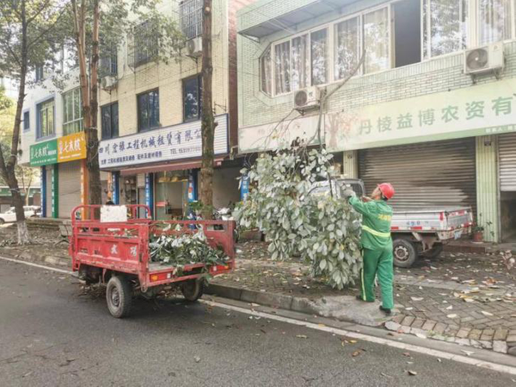丹棱县：深夜突降暴风雨  园林夜行抢险忙