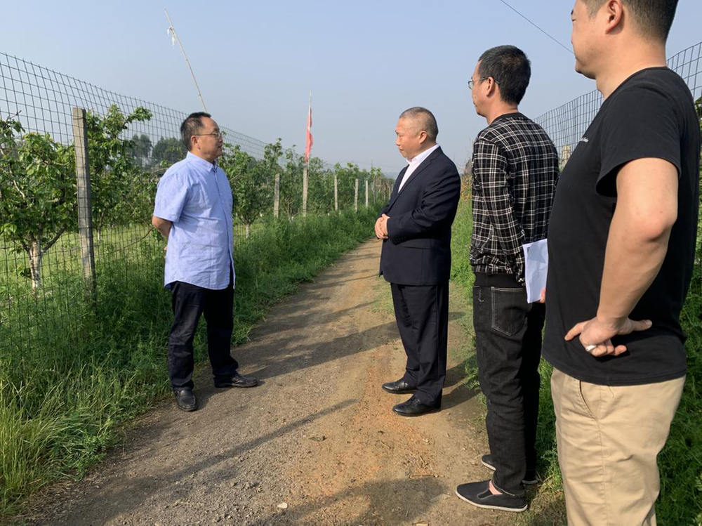 省林草局退耕中心调研东坡区退耕还林后续产业发展工作