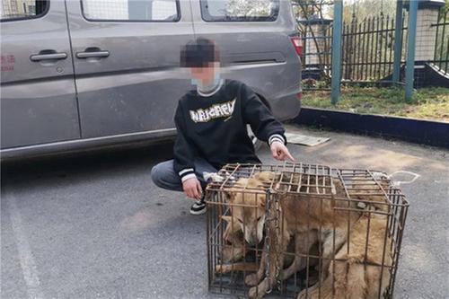 顺手“牵狗” 岳池三人落网