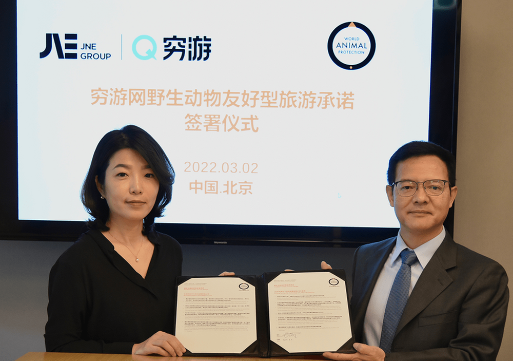 穷游网签署世界动物保护协会“野生动物友好型旅游”承诺 