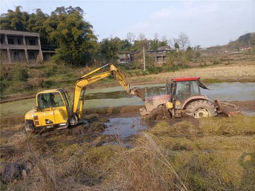 广安经开区新桥街道多措并举为春耕生产保驾护航