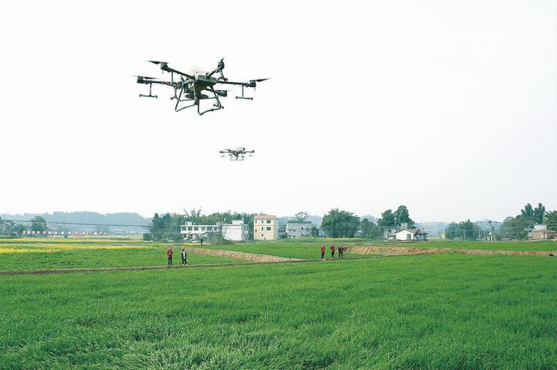 春耕春管正当时