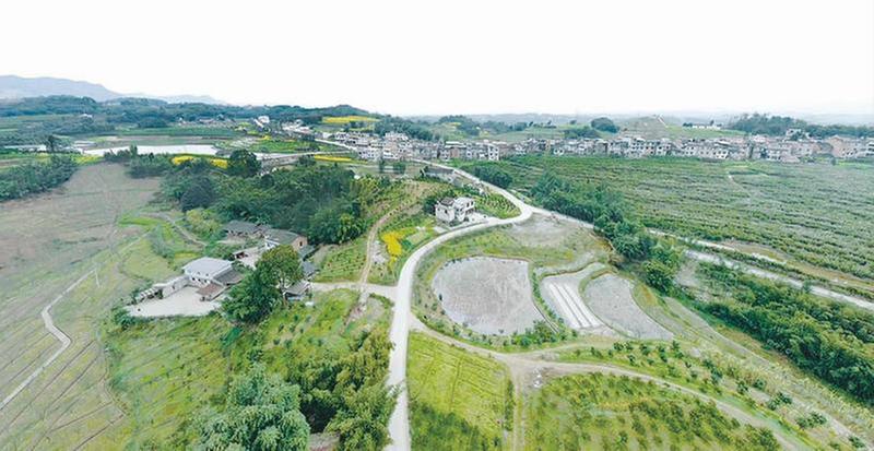 推动改革成果转化为发展红利和治理实效