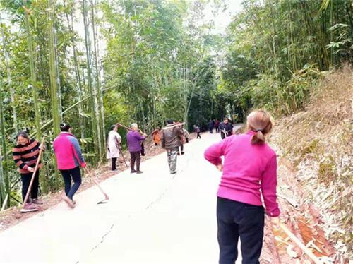 瑞峰镇开展共护绿水青山系列主题志愿服务活动