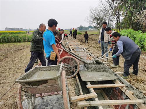 彭山区：建设高标准农田助力春耕备耕