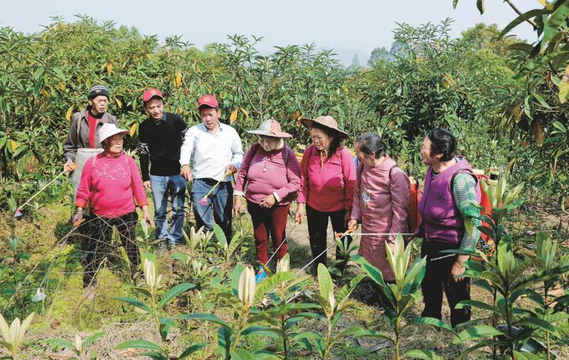 科技下乡闹春耕