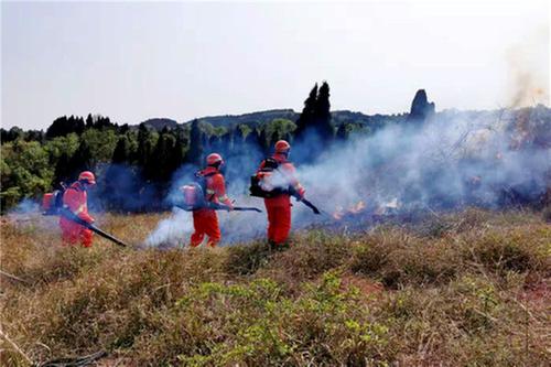 岳池县：聚焦“四字”发力，全力守护全县森林安全