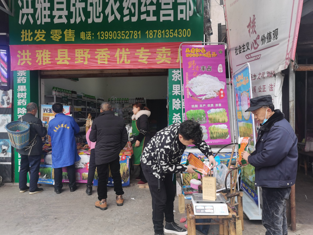 洪雅县：强化种子市场监管 保障大春生产用种安全
