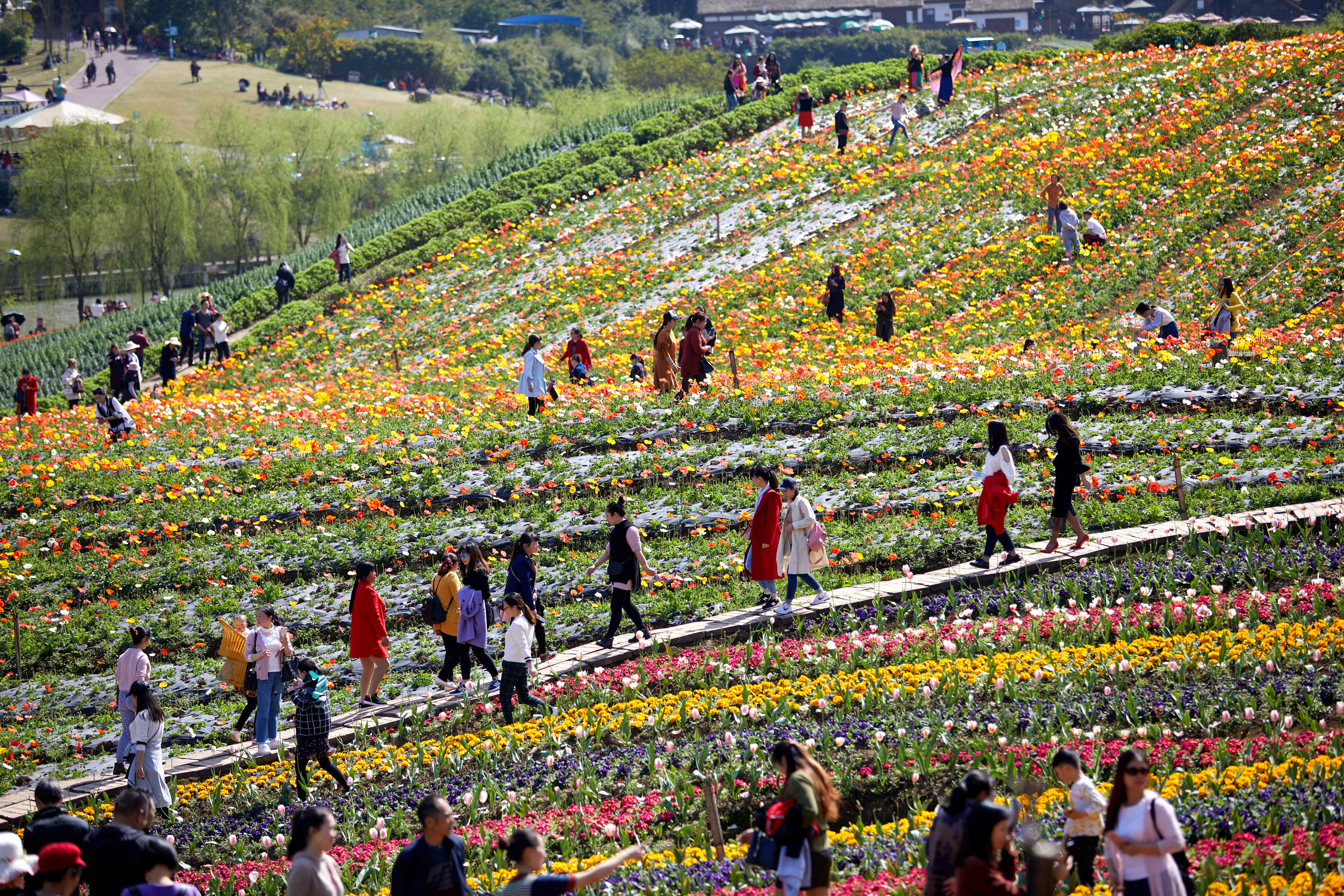花开春意浓 景美游人醉