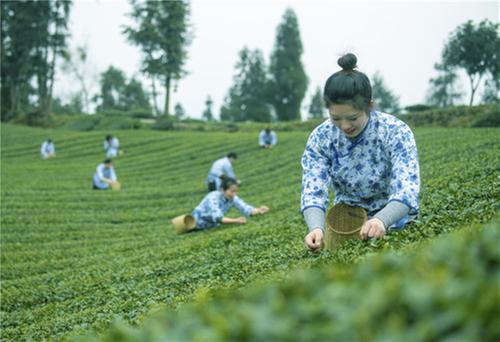 洪雅：“青杠坪·茶客空间”获批国家AAA级景区