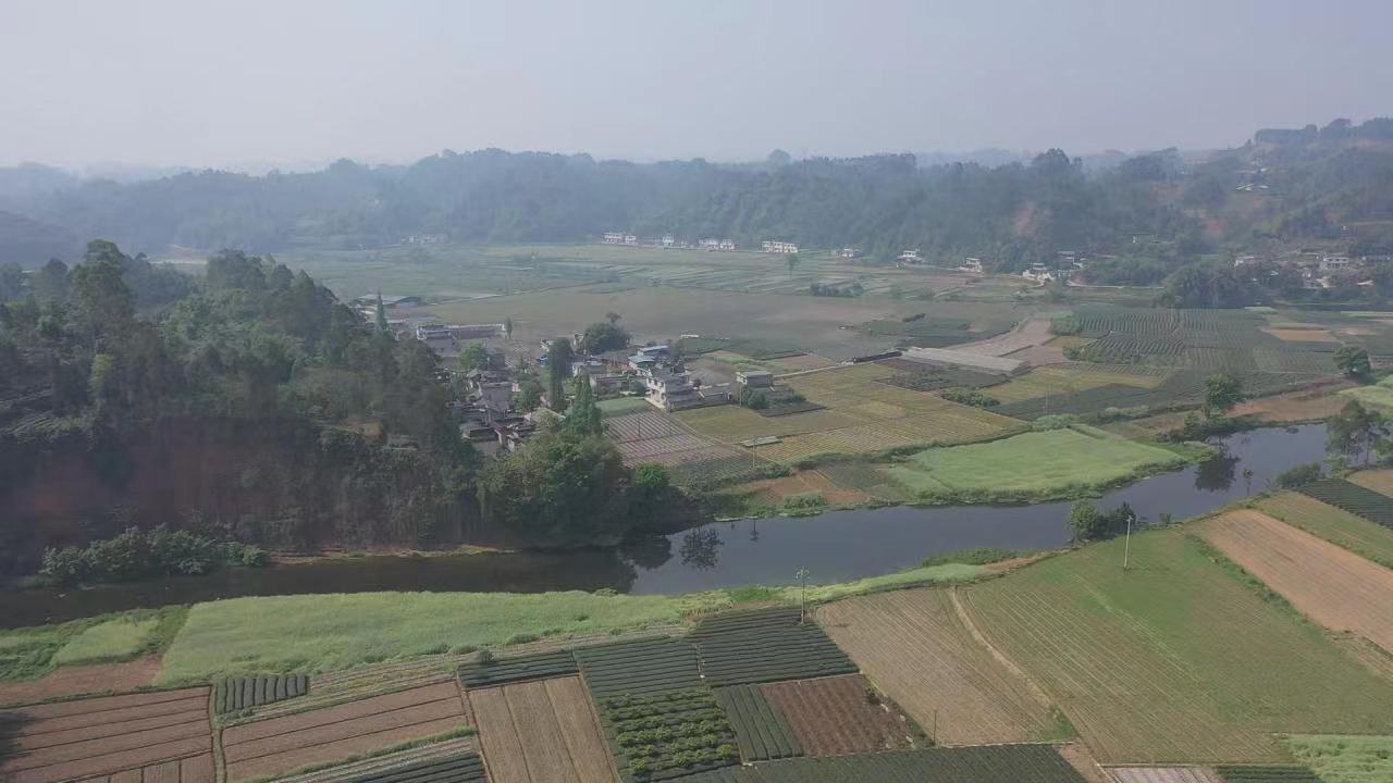 青神县：党群联动促整治 凝心聚力美乡村