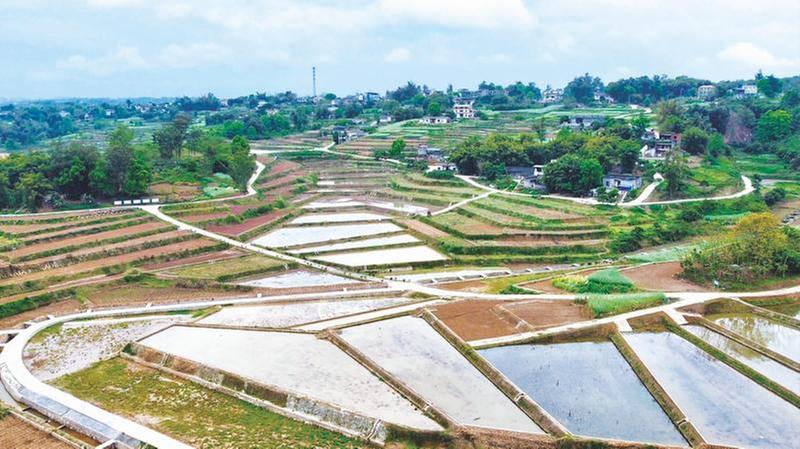 春灌进行时 农田畅饮“增产水”