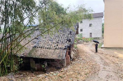 礼安镇开展大风后安全专项检查