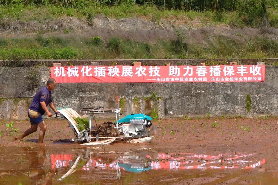 乐山市市中区七支帮扶队全线推进“百日攻坚”专项行动