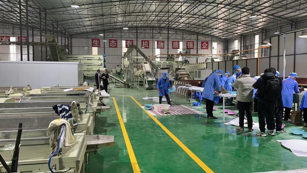 洪雅县：打好纾困解难“组合拳” 护航中小微企业发展