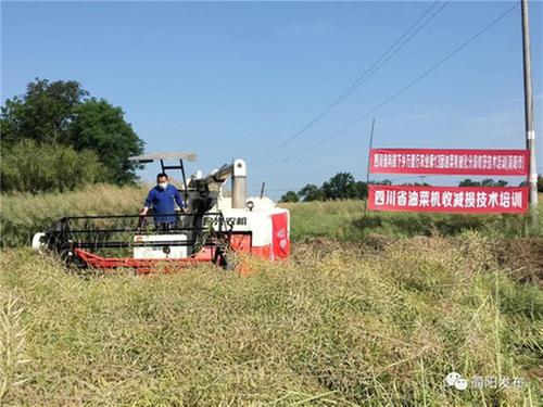 32.47万亩！“铁牛”助力简阳油菜丰收