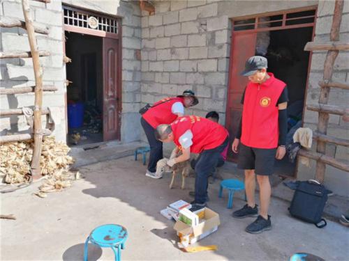 洪雅县农业农村局为凉山群众办实事解难事