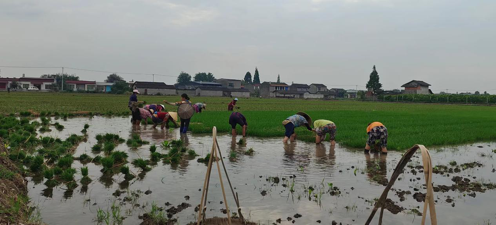 欣荣村：做好春耕工作 铺好致富路