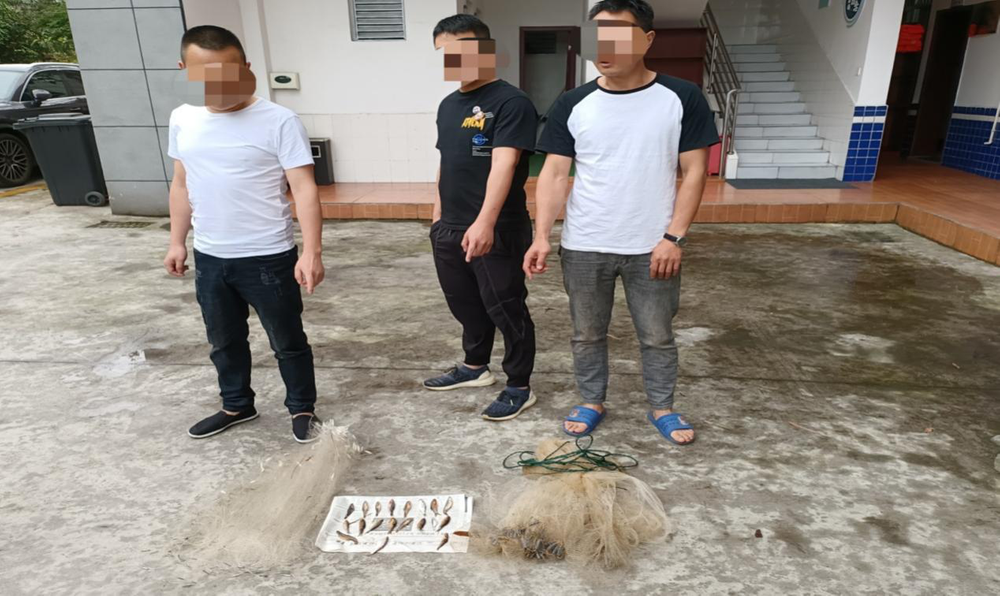 洪雅三男子非法捕捞被查