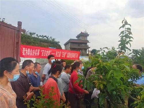 夹江县老科协组织“五老”志愿者开展送科技下乡活动