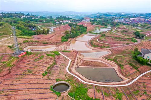 广安区大力推进高标准农田建设