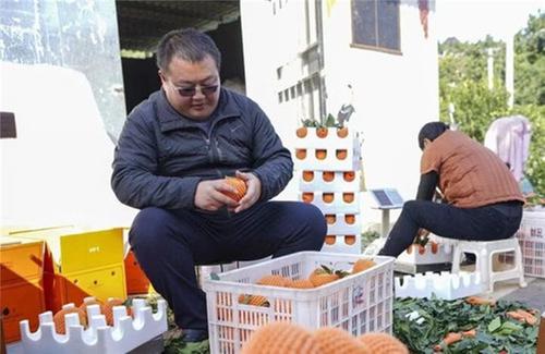 李雪松：海归返乡创业 助力乡村振兴