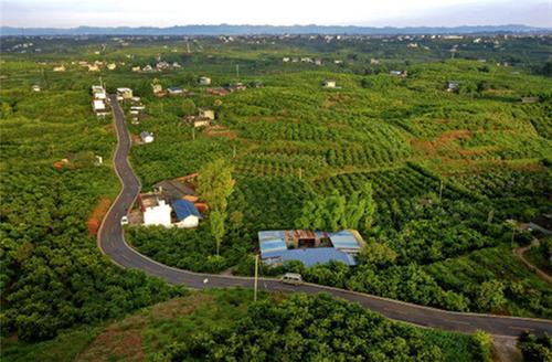 彭山区：“金通工程”打通为民服务“最后一公里”